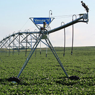 Products,Agriculture