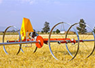 Products,Agriculture,Wheeline